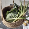 Hanging baskets Haan