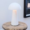 Sam table lamp