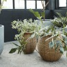 Planter Boum set of 2