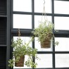 Planter Hover set of 2